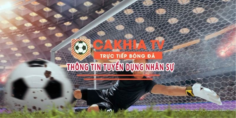 Khái quát về thông tin tuyển dụng